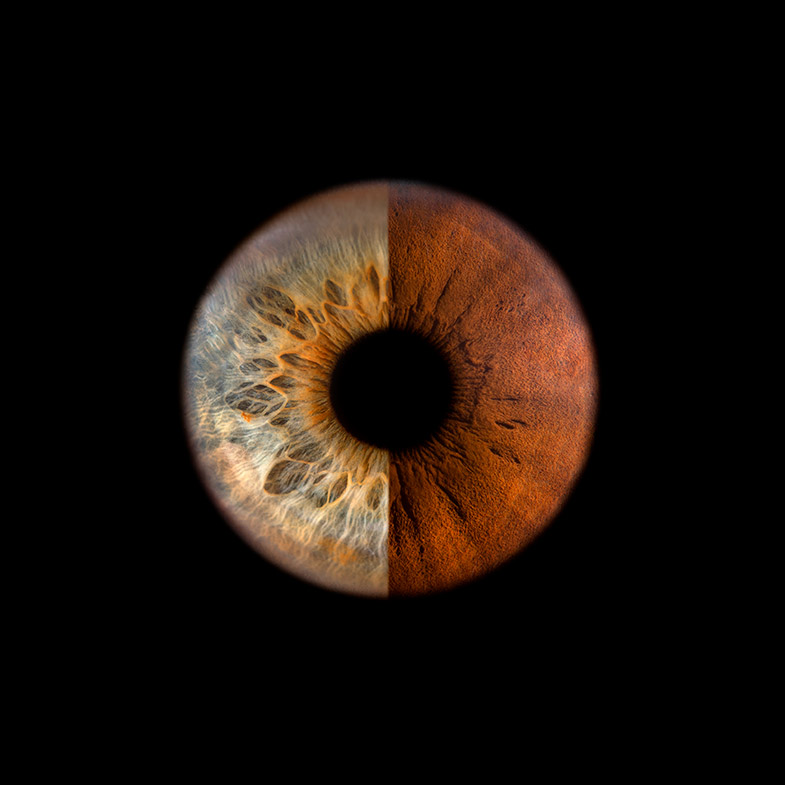 Makro fotografija združenih dveh očes – polovica njegove in polovica njene šarenice na črnem ozadju
