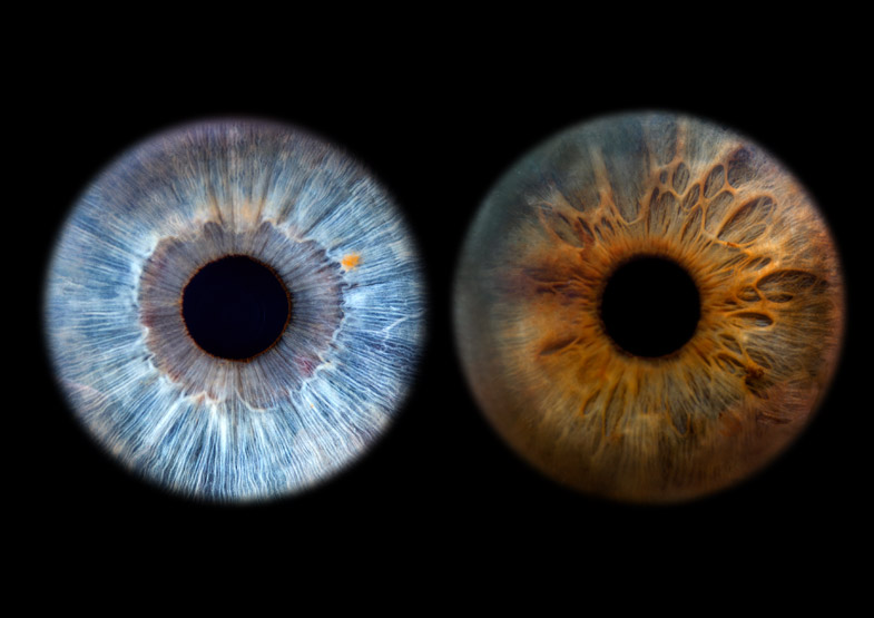 Fotografiranje šarenice rjavega in modrega očesa v foto studiu